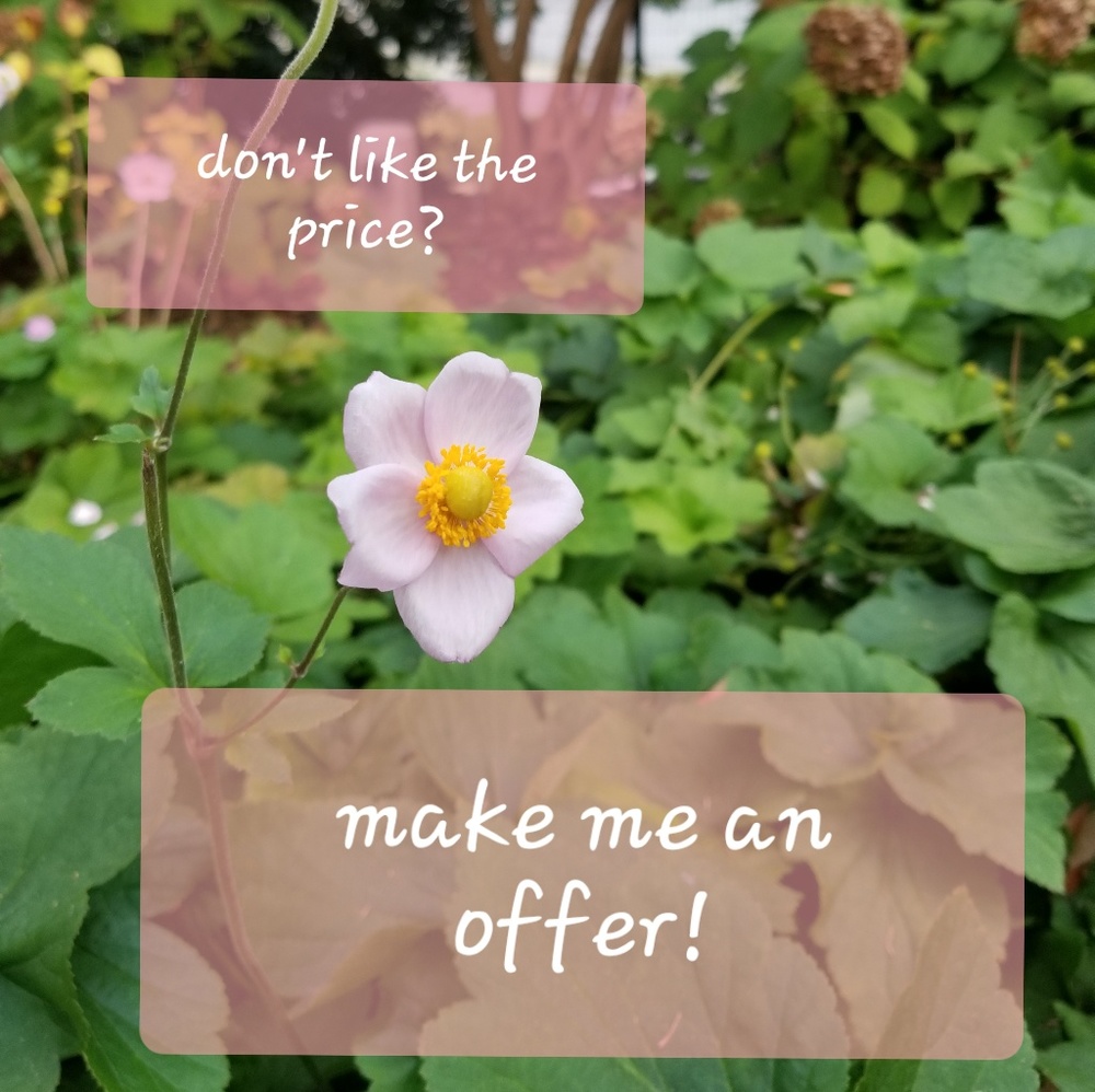 make me an offer!